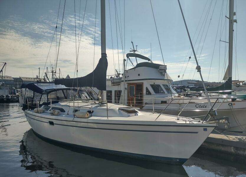 Wildfire 36ft Catalina Yacht For Sale