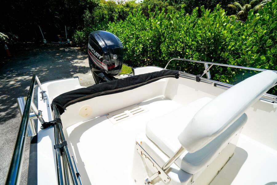 17' 2016 Boston Whaler 170 Montauk