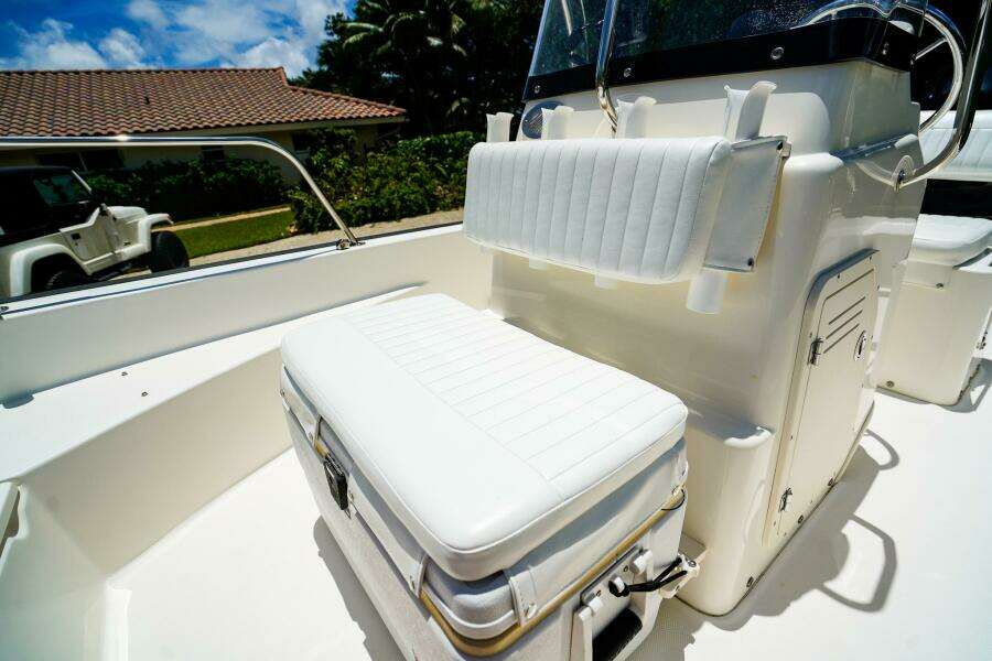 17ft Boston Whaler Yacht For Sale