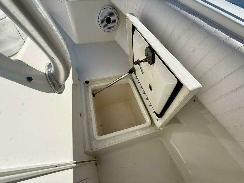 2006 Regulator 29 FS PERSERVERANCE