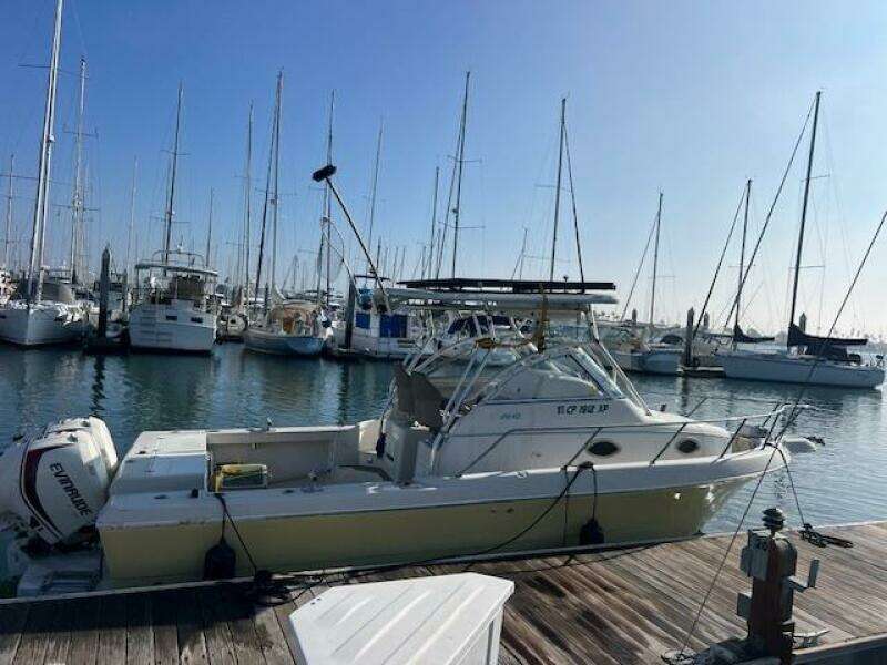 SUN DAZE 30ft Pro Line Yacht For Sale