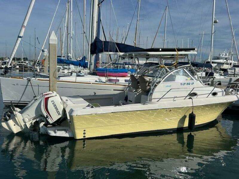 SUN DAZE 30ft Pro Line Yacht For Sale