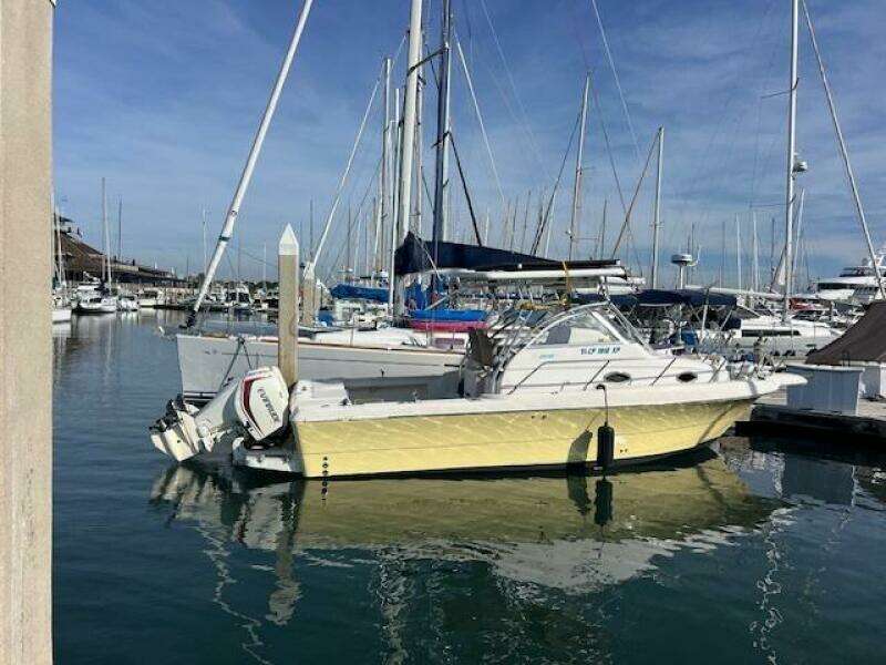 SUN DAZE 30ft Pro Line Yacht For Sale