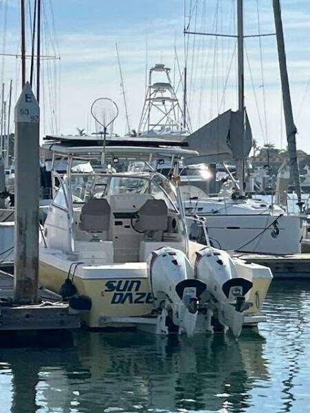 SUN DAZE 30ft Pro Line Yacht For Sale