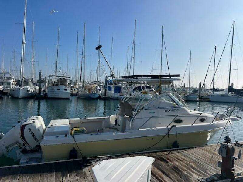 SUN DAZE 30ft Pro Line Yacht For Sale