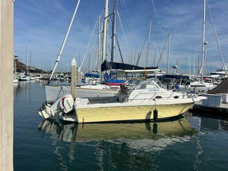 SUN DAZE 30ft Pro Line Yacht For Sale