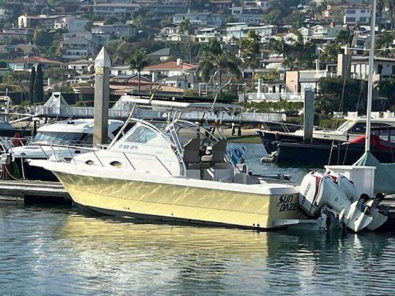 SUN DAZE 30ft Pro Line Yacht For Sale