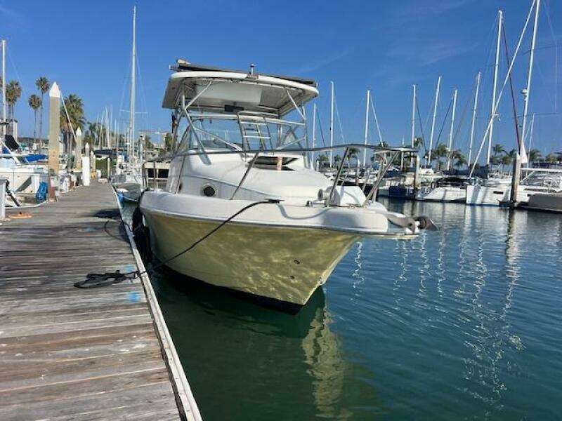 SUN DAZE 30ft Pro Line Yacht For Sale