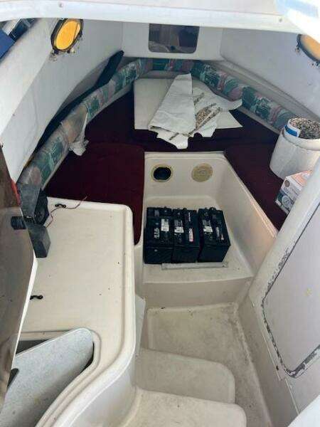 SUN DAZE 30ft Pro Line Yacht For Sale