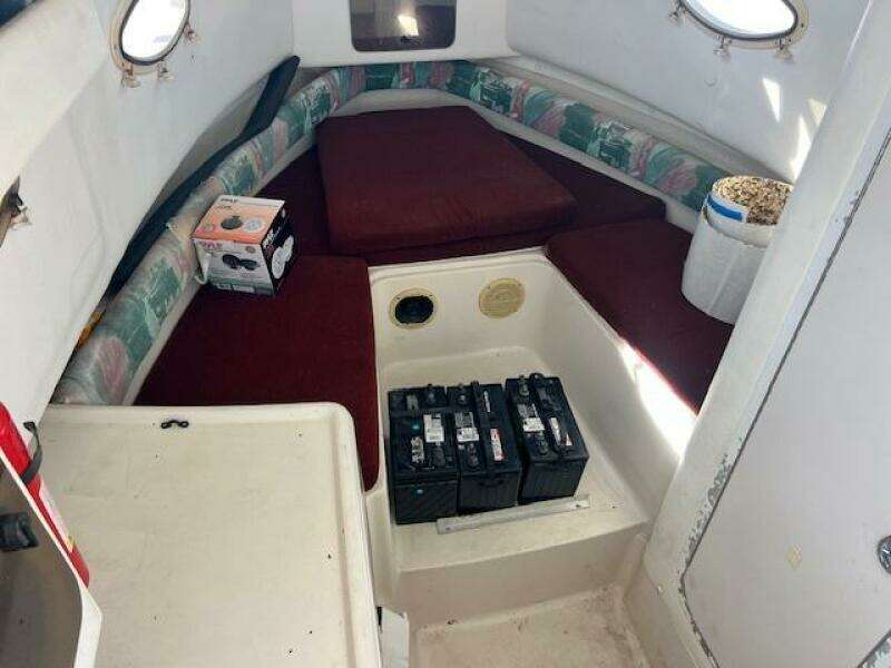 SUN DAZE 30ft Pro Line Yacht For Sale