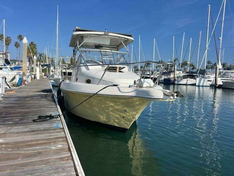 SUN DAZE 30ft Pro Line Yacht For Sale