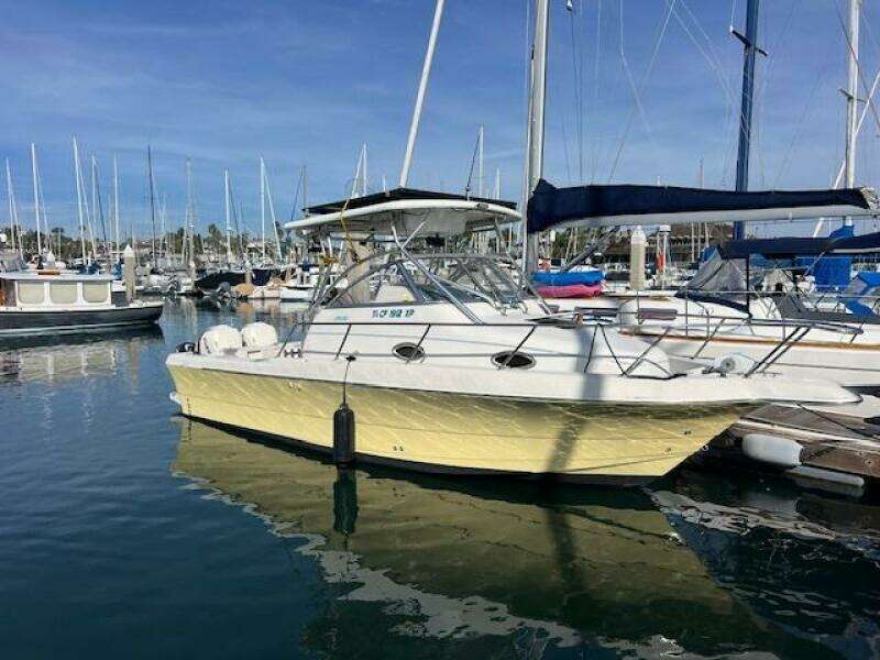 SUN DAZE 30ft Pro Line Yacht For Sale