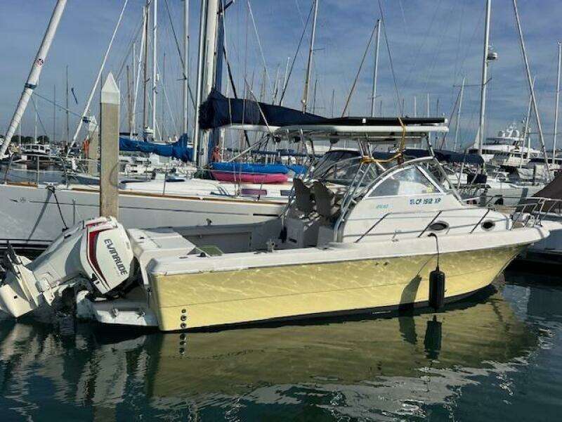 SUN DAZE 30ft Pro Line Yacht For Sale