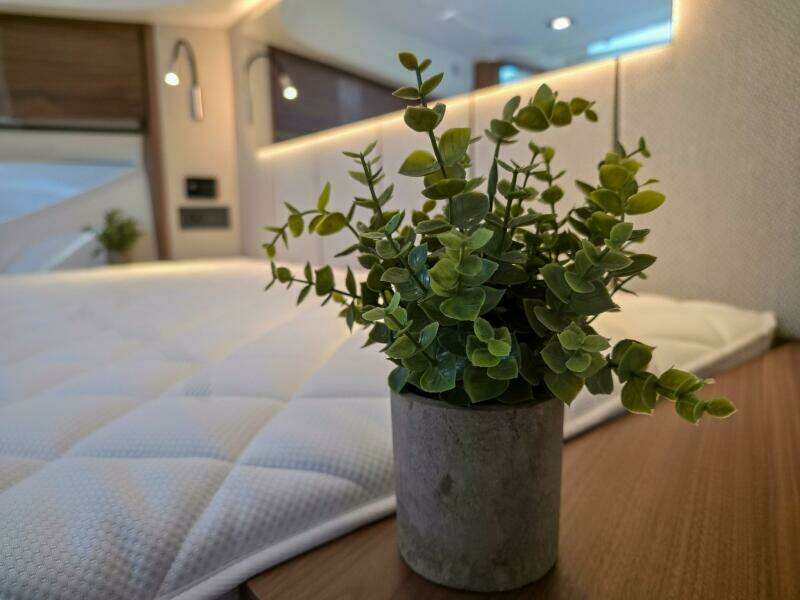 44ft Marex Yacht For Sale