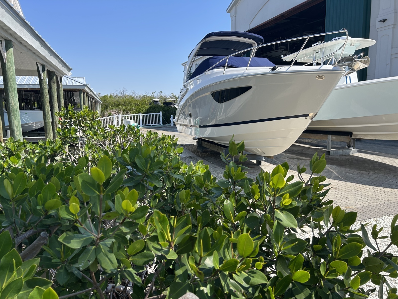 26ft Regal Yacht For Sale