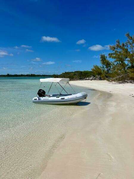 Here  amp  Now 44ft Catalina Yacht For Sale