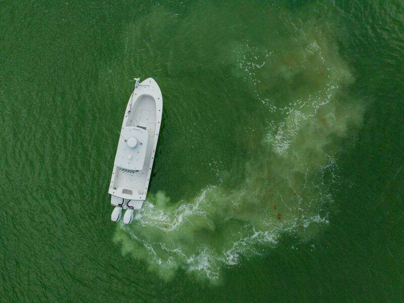 29ft Orion Yacht For Sale