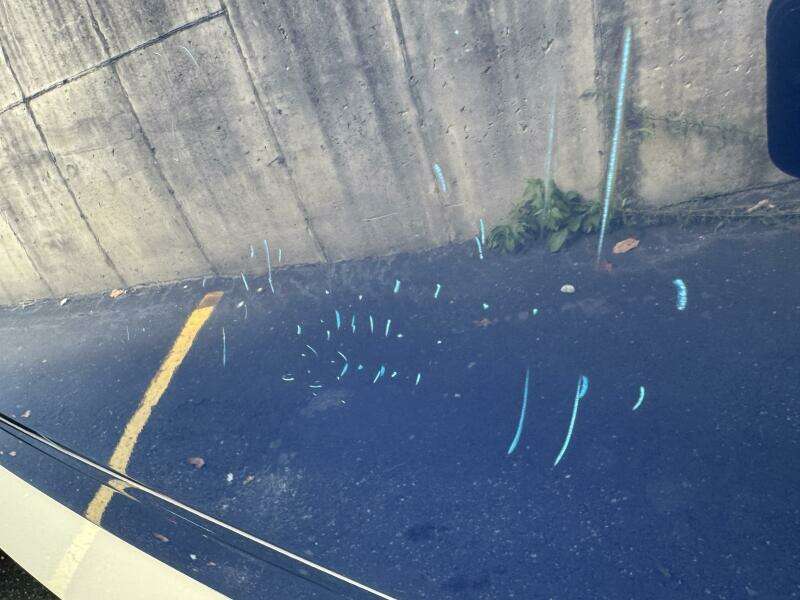 23ft Chaparral Yacht For Sale