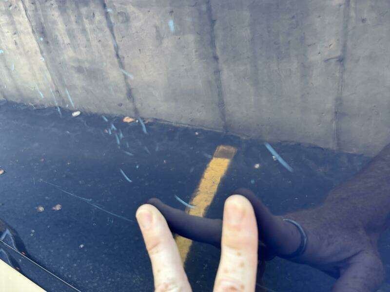 23ft Chaparral Yacht For Sale