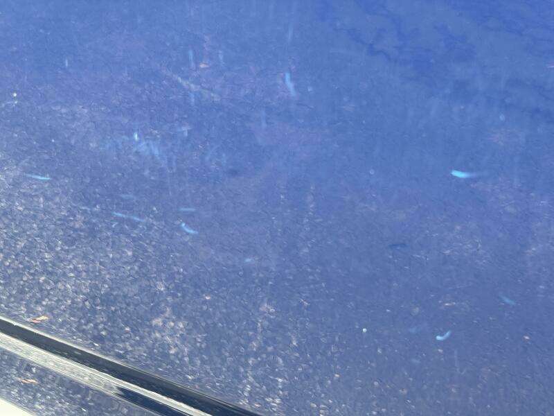 23ft Chaparral Yacht For Sale