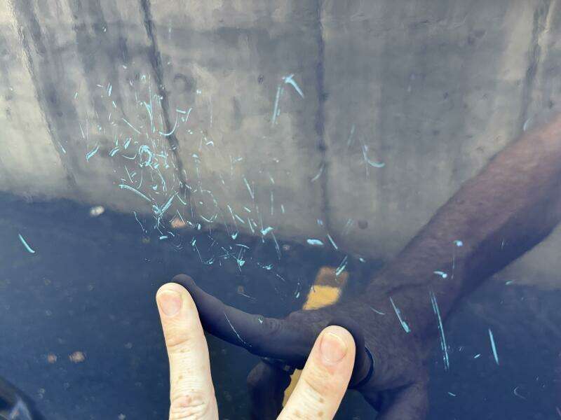 23ft Chaparral Yacht For Sale