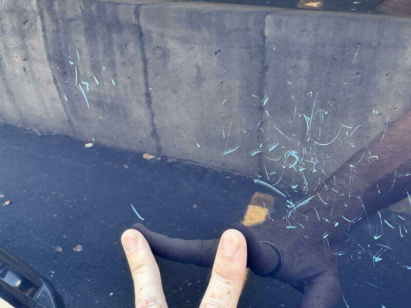 23ft Chaparral Yacht For Sale