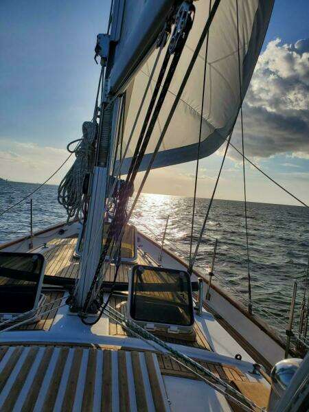 Scotch Bonnet 42ft Bluewater Yachts Yacht For Sale