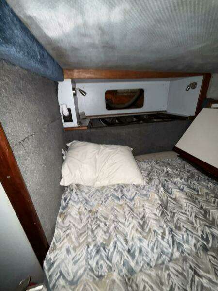 34ft Sea Ray Yacht For Sale