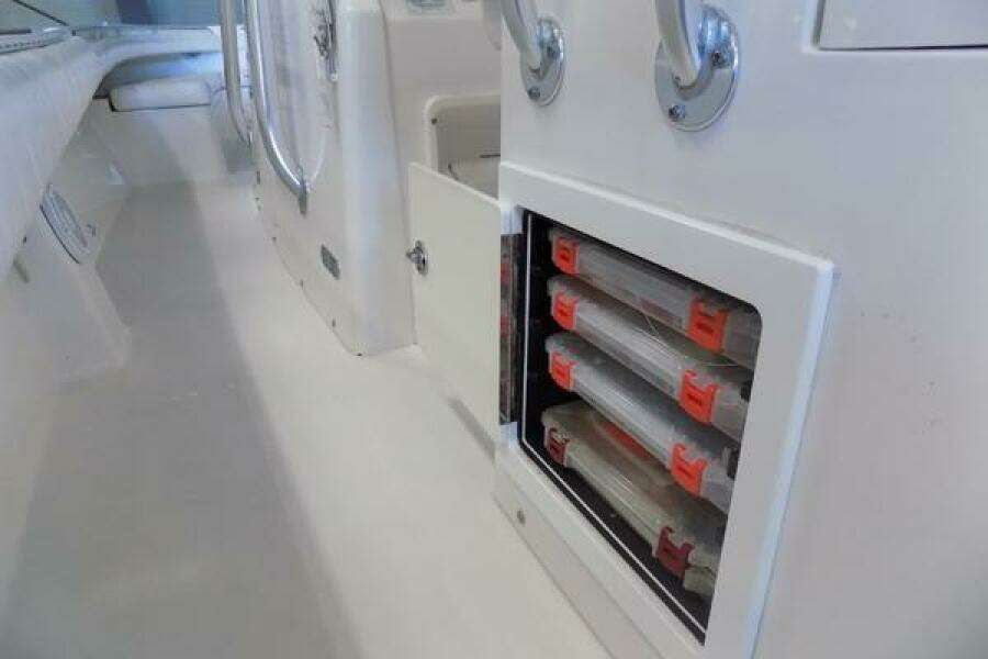 Regulator 34 - WIN PER DAY - Starboard Deck