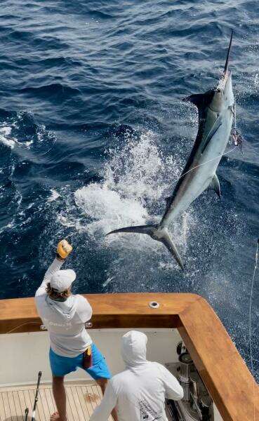 OSTARA 142ft Westport Yacht For Sale