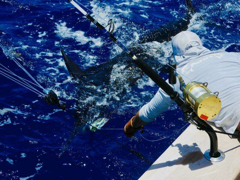 OSTARA 142ft Westport Yacht For Sale