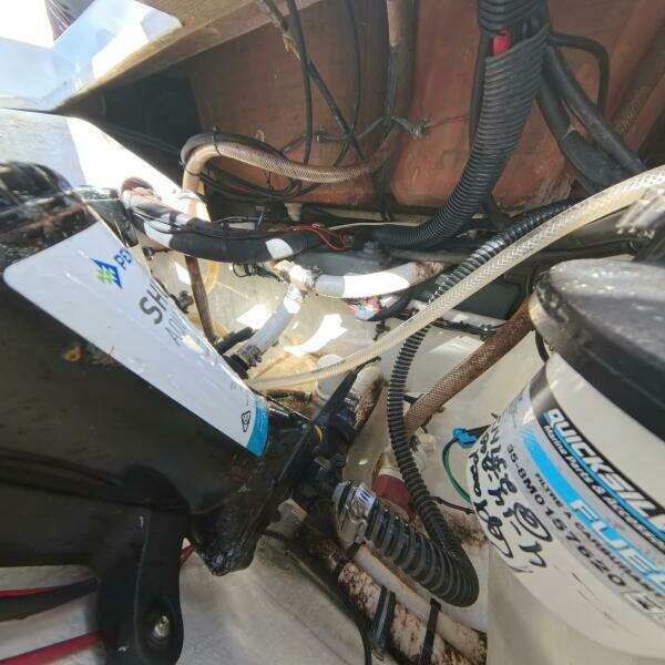 26ft Velocity Yacht For Sale