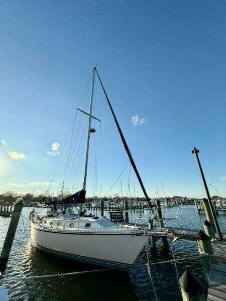 WINDFALL 40ft Caliber Yacht For Sale