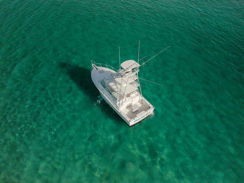 Miss Big Gun 35ft Cabo Yacht For Sale