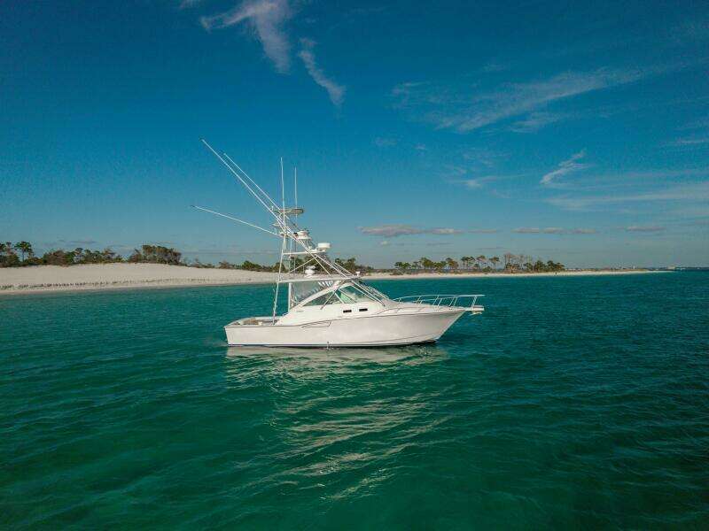 Miss Big Gun 35ft Cabo Yacht For Sale