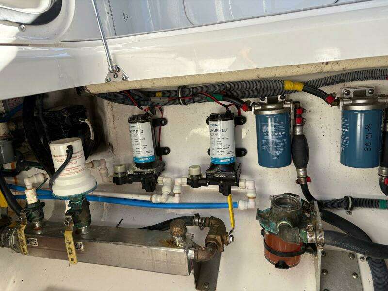 In Absentia 35ft Everglades Yacht For Sale