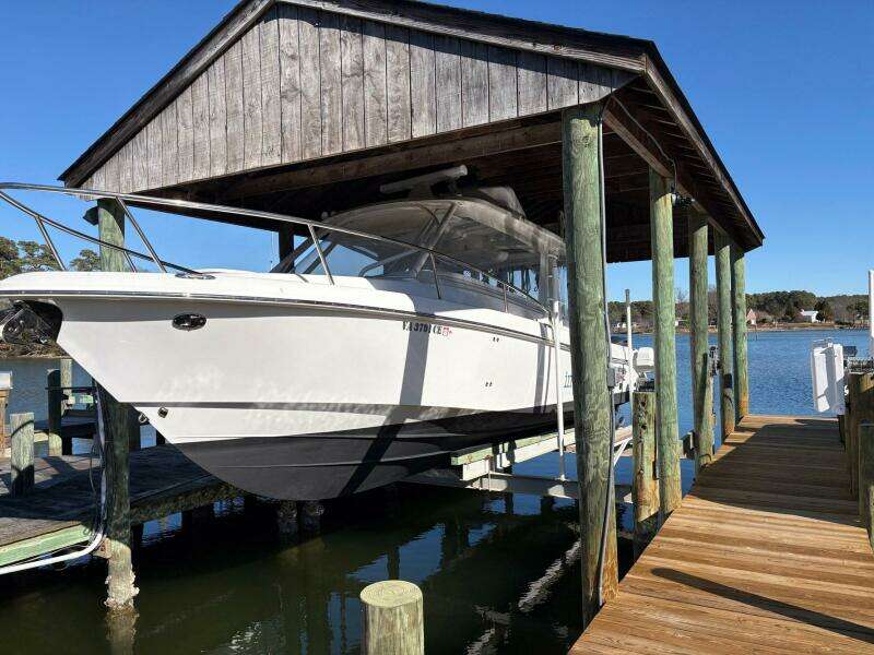 In Absentia 35ft Everglades Yacht For Sale