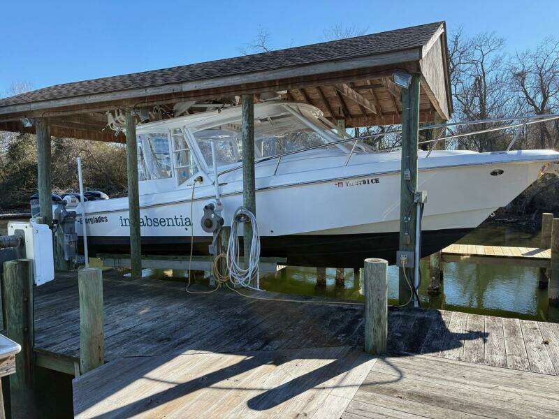 In Absentia 35ft Everglades Yacht For Sale