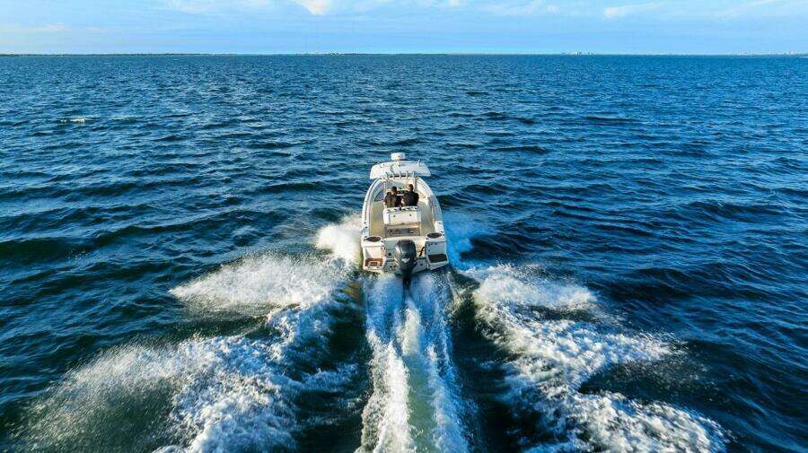 24ft Scout Yacht For Sale