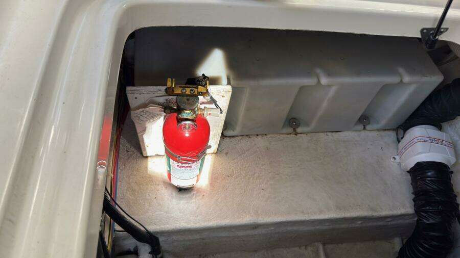 Holly Anne 29ft Bayliner Yacht For Sale