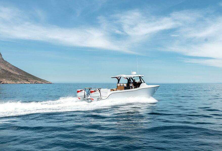 29ft MVI Yacht For Sale