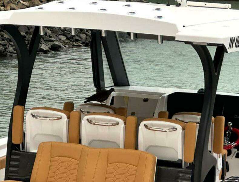 29ft MVI Yacht For Sale