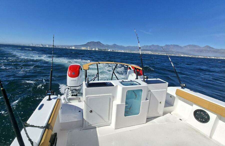 29ft MVI Yacht For Sale