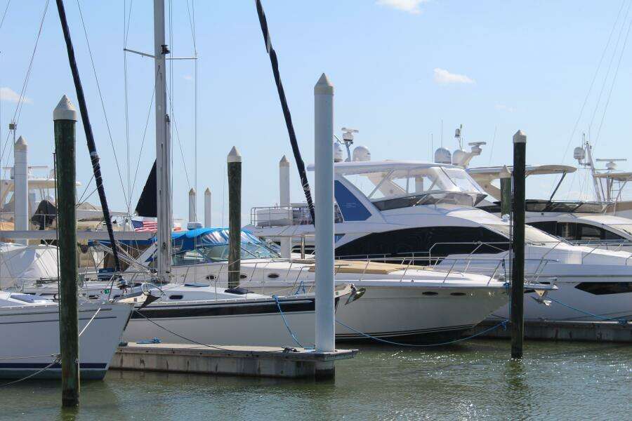 Fuelish Pleasure 50ft Sea Ray Yacht For Sale