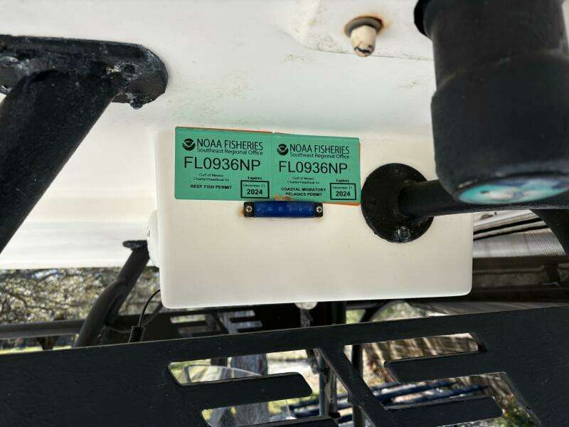 Reel Anomaly 35ft Wellcraft Yacht For Sale