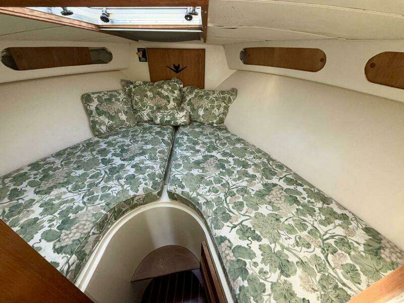 33ft Bertram Yacht For Sale