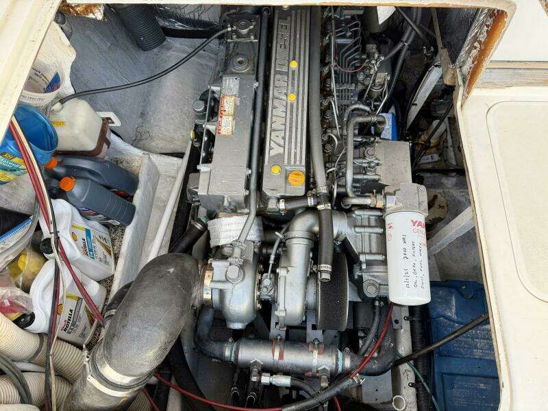 33ft Bertram Yacht For Sale