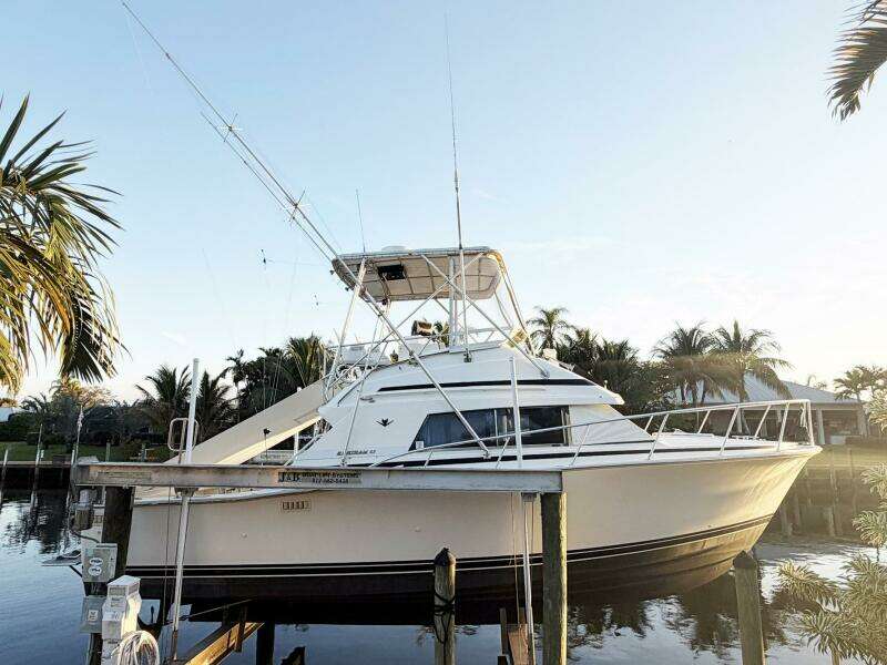 33ft Bertram Yacht For Sale