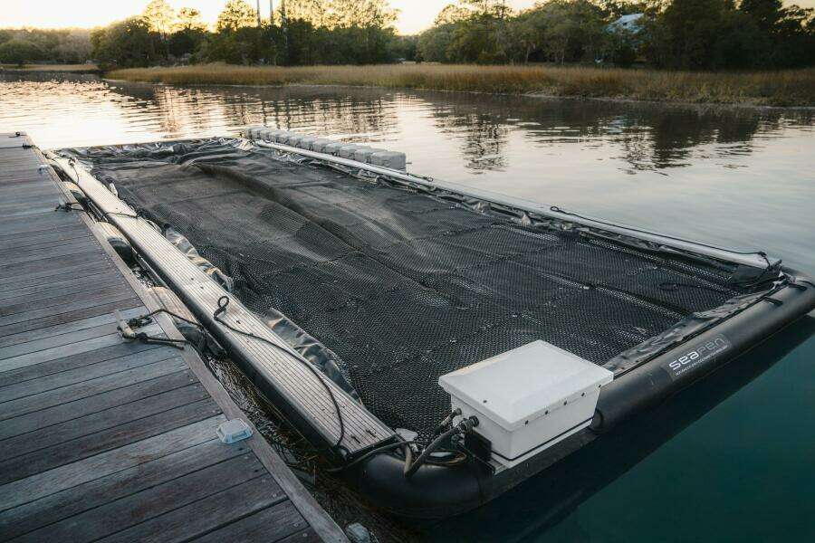 37ft Scout Yacht For Sale