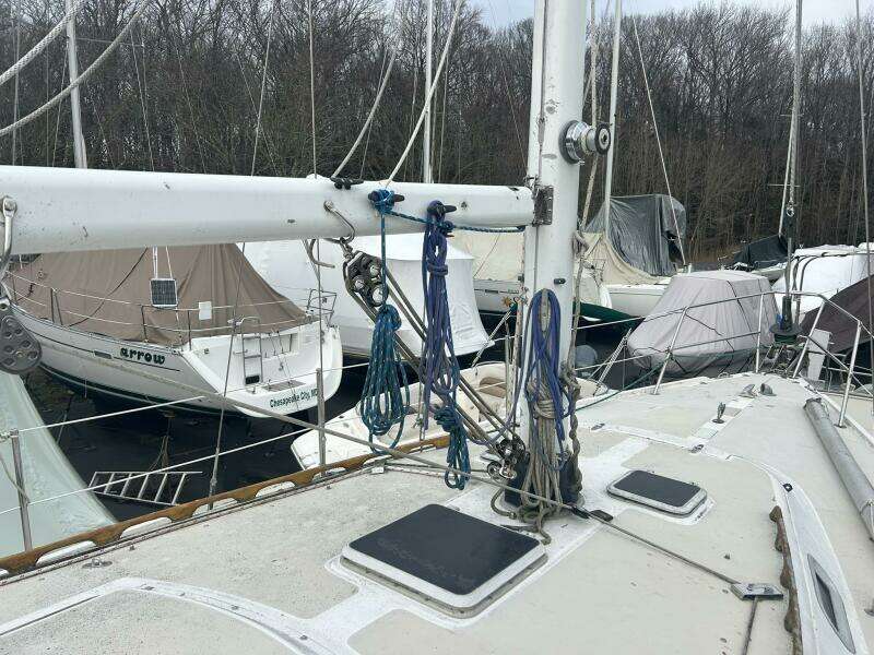 Wave Walker 36ft Catalina Yacht For Sale